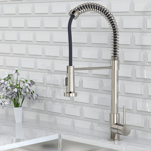 Pull out Kitchen Faucet CAK1020102A