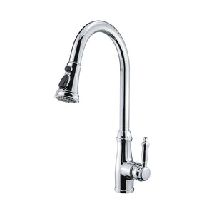 Single Handle Kitchen Faucet with Pull-Down CAK27601011