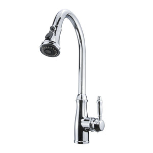 Single Handle Kitchen Faucet with Pull-Down CAK27601011