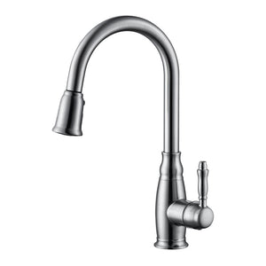 Single Handle Kitchen Faucet with Pull-Down CZ801302