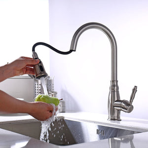 Single Handle Kitchen Faucet with Pull-Down CZ801302