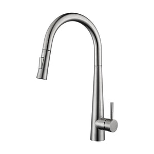 Single Handle Kitchen Faucet with Pull-Down CAK14901012