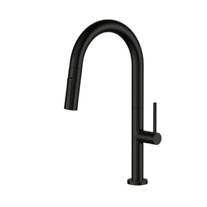 Single Handle Kitchen Faucet with Pull-Down CAK546013102