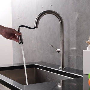 Single Handle Kitchen Faucet with Pull-Down CAK546013102
